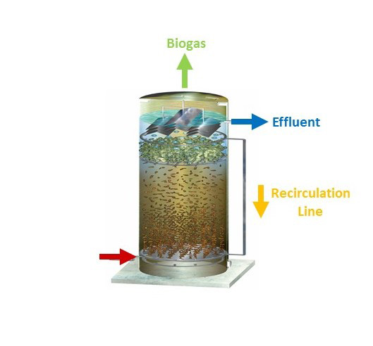 How Lt-AD Works